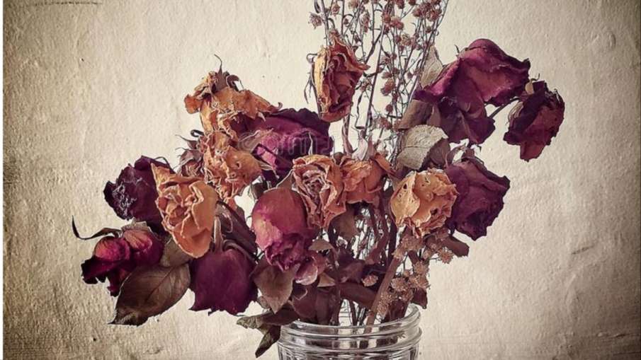 घर में सूखे फूल रखने से मुरझा सकती है आपकी किस्मत, ध्यान से समझें फूलों से जुड़े ये वास्तु टिप्स