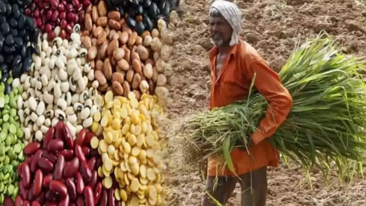 लखनऊ: तिलहन और दलहन बेचने के लिए किसान कराएं आन लाइन पंजीकरण