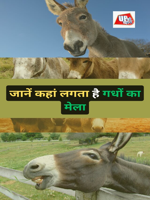 जानें कहां लगता है गधों का मेला