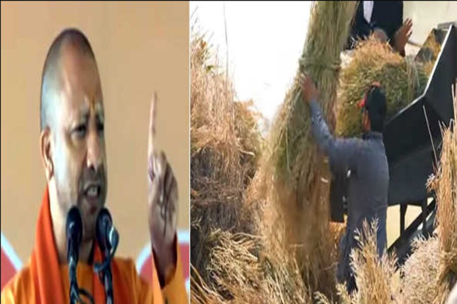 UP NEWS: CM Yogi released Rs 83.13 crore to compensate a large number of farmers for damaged crops