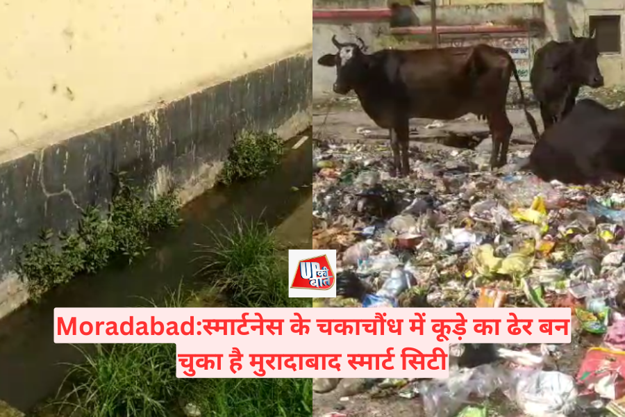 Moradabad: Moradabad Smart City has become a heap of garbage in the glare of smartness
