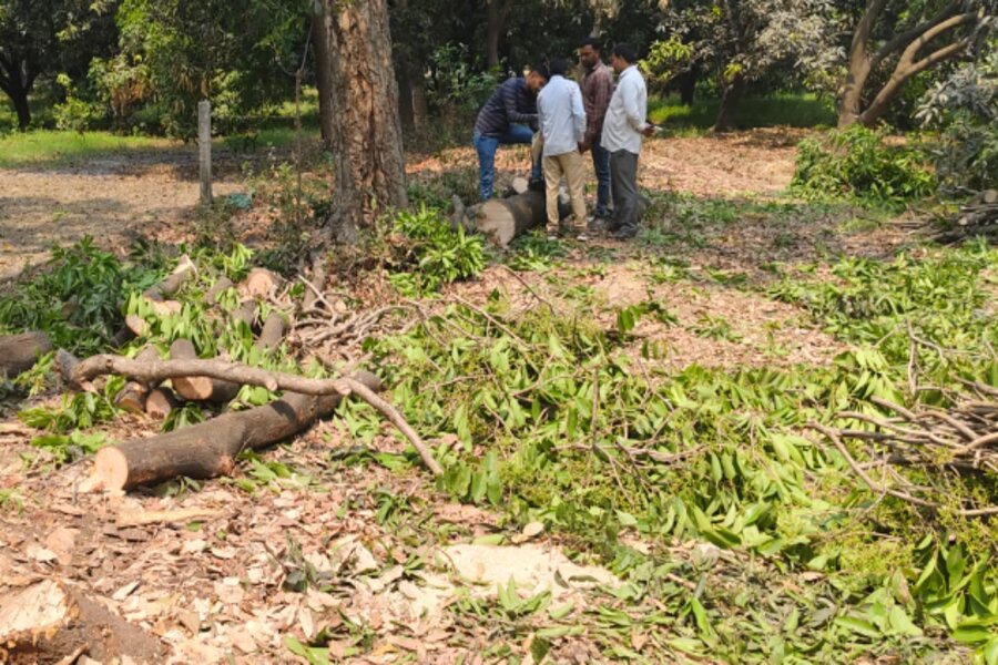 Muzaffarnagar News: हरे पेड़ काटने के मामले पर SDM का छापा, आरोपियों के खिलाफ मामला दर्ज!