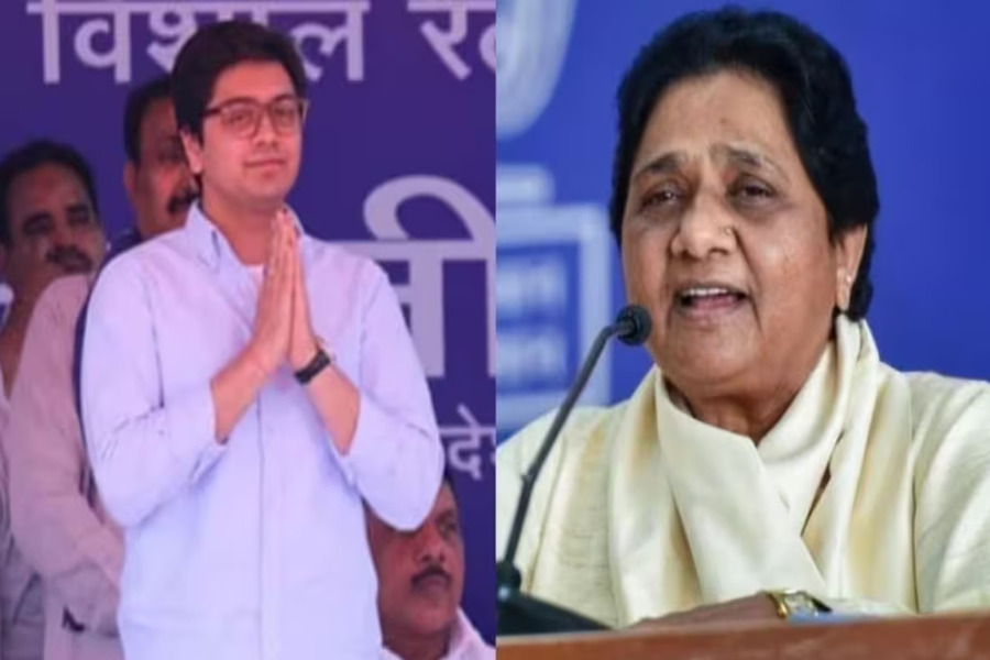 Mayawati again made nephew Akash Anand a star campaigner, he had snatched the responsibility in the general elections