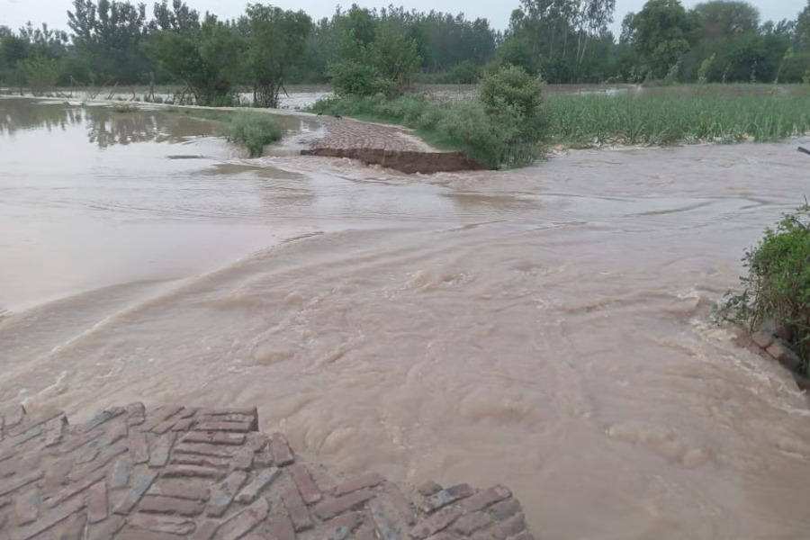 Bareilly flood News: बरेली देहात के 80 गांवों में जलभराव, पर सिंचाई मंत्री कब लेंगे संज्ञान