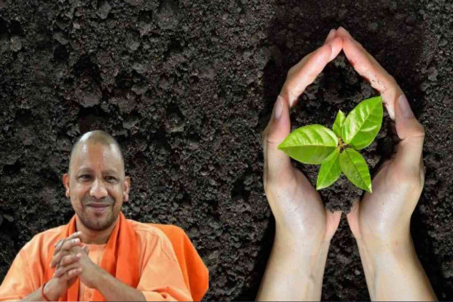 Yogi government's target to plant 35 crore saplings, will run awareness campaign