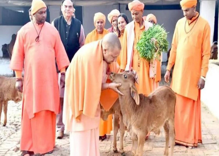 UP NEWS: योगी सरकार ने शत्रु संपत्ति पर चारा केन्द्र व पशु संरक्षण केंद्र बनाने का किया फैसला