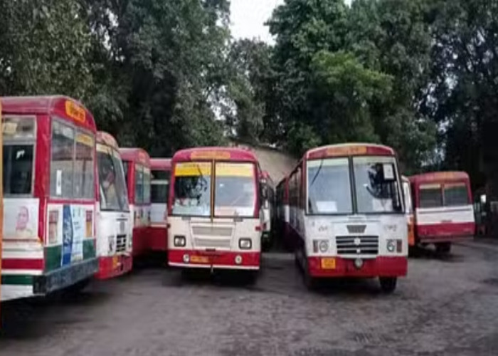 UP Transport Corporation: उत्तर प्रदेश ट्रांसपोर्ट निगम में ड्राइवर पदों पर होगी भर्ती