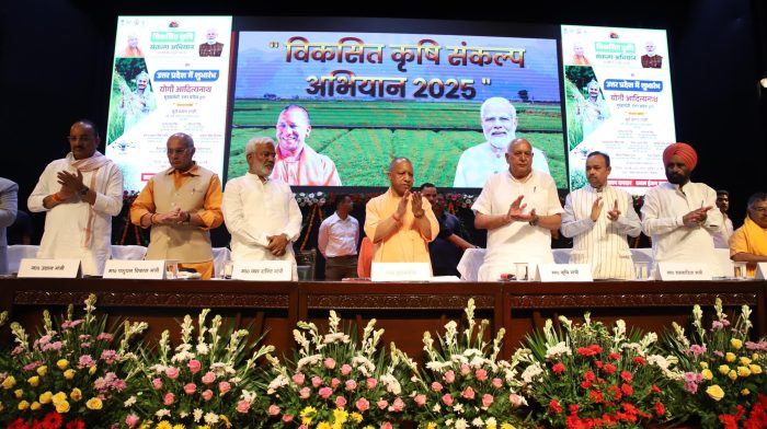 UP News : गेहूं की तरह बोएं धान, कम होगी लागत, उपज भी होगी बराबर