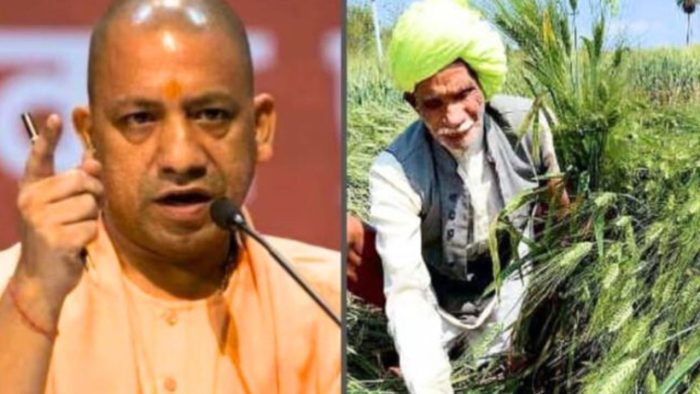 UP News: उत्तर प्रदेश में तकनीकी कृषि क्रांति: 62 जिलों में किसानों को बड़ी राहत