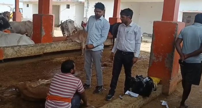 Aligarh: गौशालाओं में गायों की मृत्यु पर स्थानीय लोगों का आक्रोश, प्रशासन से उचित देखभाल की मांग