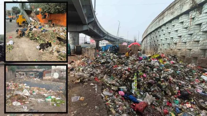 Ghaziabad News: वसुंधरा सेक्टर-5 में गंदगी का अंबार, नगर निगम पर उठे सवाल