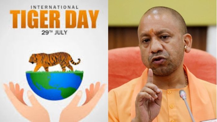 UP : यूपी में बाघों की संख्या में ऐतिहासिक वृद्धि