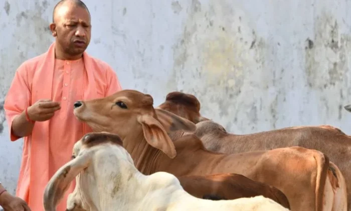 UP : गोशालाओं को आत्मनिर्भर बनाकर ग्रामीण अर्थव्यवस्था को सशक्त बनाएगी योगी सरकार
