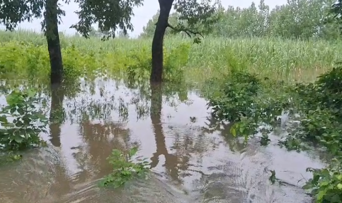 Bijnor : मालन नदी का बांध टूटा, गांवों में घुसा पानी, हजारों बीघा फसल जलमग्न