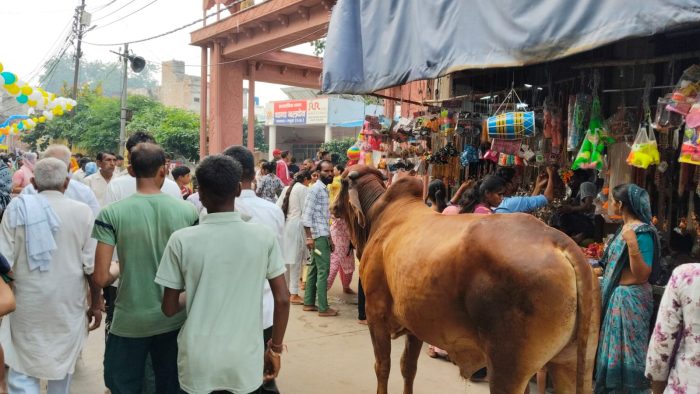 Mathura : नगर पंचायत बलदेव की व्यवस्थाएं ध्वस्त, अधिशासी अधिकारी बने लापरवाह