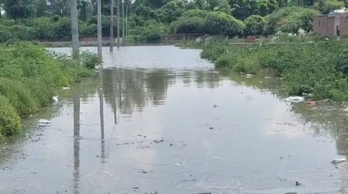 Mathura : खतरे के निशान पर यमुना नदी, निचले इलाकों में बाढ़ जैसी स्थिति
