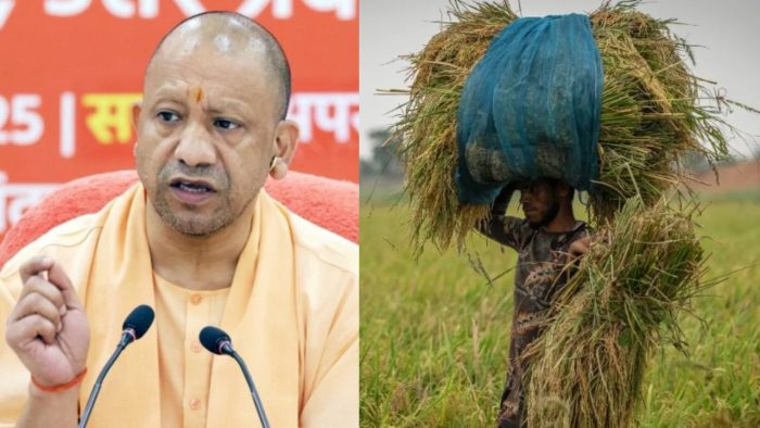 UP : पश्चिमी यूपी में पहली अक्टूबर से होगी धान खरीद, साढ़े 23 हजार से अधिक किसानों ने कराया पंजीकरण