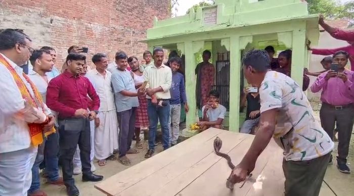 Kaushambi : वनविभाग की टीम का रेस्क्यू , विषैले सर्प को घर से पकड़ा