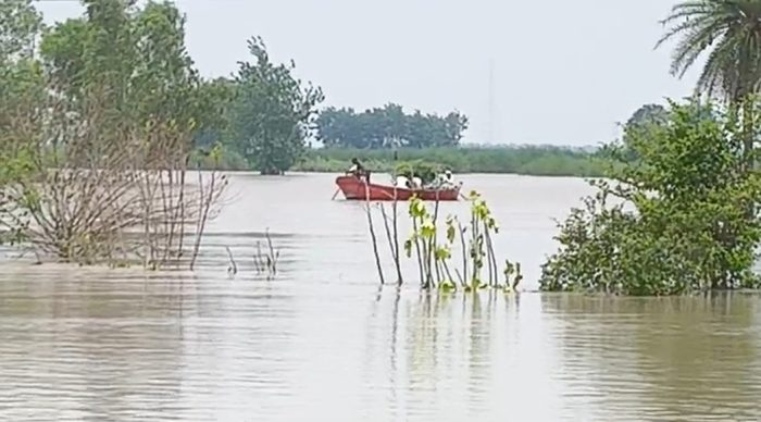 Aligarh : टप्पल में बाढ़ का कहर: महाराजगढ़ समेत दर्जनभर गांव जलमग्न