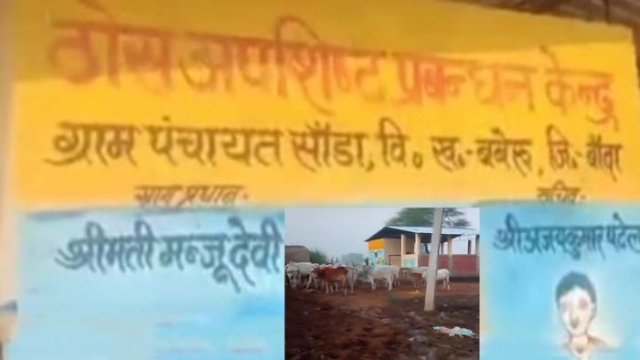 Banda : गौशाला में गायों की बदहाली, ग्राम प्रधान पर भ्रष्टाचार के आरोप