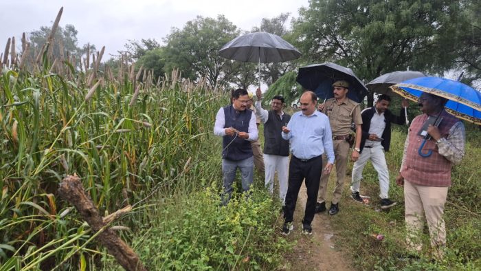 Jalaun : बेमौसम बारिश से फसलों को भारी नुकसान,डीएम ने खेतों में जाकर लिया जायजा