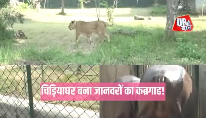 Gorakhpur: गोरखपुर का चिड़ियाघर बना जानवरों का कब्रगाह! लगातार मौतों से उठे सवाल
