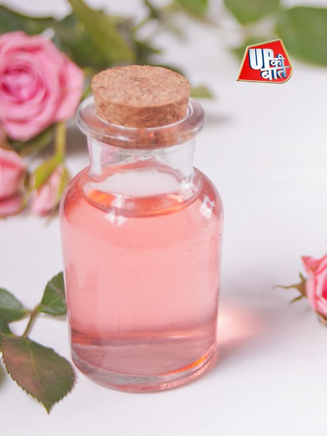 8 point में समझें कि गुलाब जल का इस्तेमाल कैसे करें
