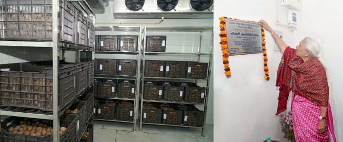 Lucknow: राज्यपाल आनंदीबेन पटेल ने आज राजभवन परिसर स्थित अन्नपूर्णा भू-तल में स्थापित कोल्ड रूम का उद्घाटन किया