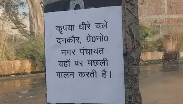 दनकौर में जलभराव से हाहाकार: लोगों ने पोस्टर चिपकाकर जताया विरोध, लिखा- “यहां नगर पंचायत मछली पालन करती है”