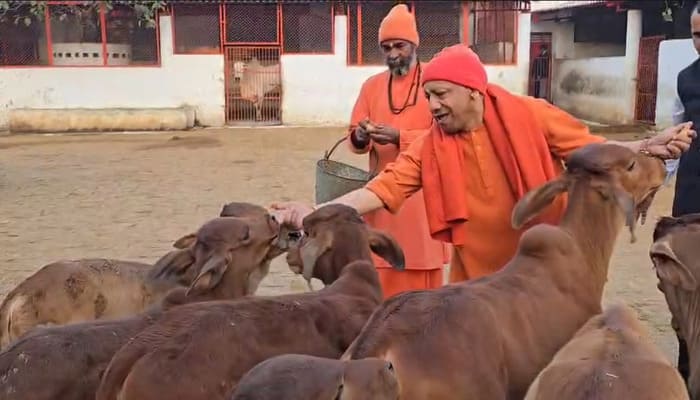 Gorakhpur: गलत जांच रिपोर्ट लगाने वालों पर दर्ज हो एफआईआर - CM YOGI