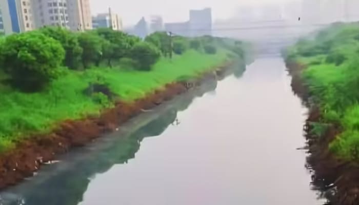 यमुना में बिना ट्रीट किया सीवर: केंद्रीय प्रदूषण नियंत्रण बोर्ड की रिपोर्ट सुप्रीम कोर्ट में पेश