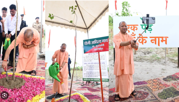 Ek Ped Guru Ke Naam: शिक्षक दिवस पर UP में होगा विशेष पौधरोपण अभियान