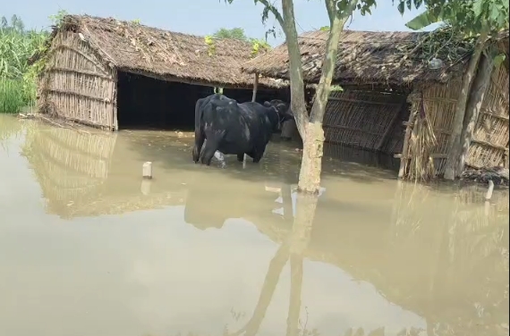 गोंडा: घाघरा नदी का जलस्तर बढ़ने से प्रशासन अलर्ट, करीब 10 हजार की आबादी प्रभावित