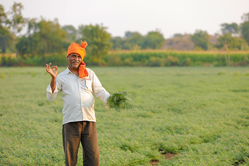ग्रेटर नोएडा के किसानों को बड़ी राहत, 64.7% अतिरिक्त प्रतिकर का रास्ता साफ