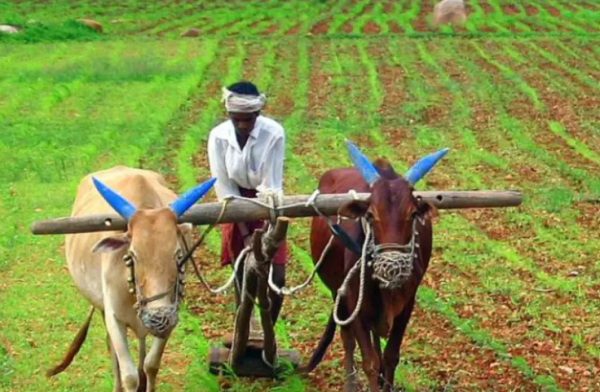 गौतमबुद्धनगर में किसान दिवस का आयोजन, 200 किसानों की समस्याओं का मौके पर समाधान
