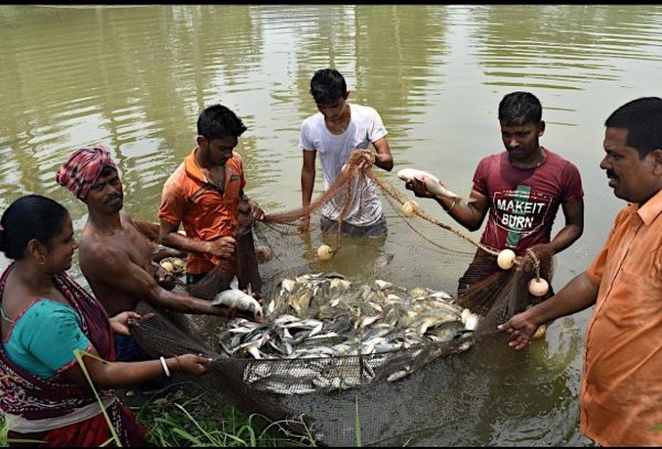 गौतमबुद्धनगर के 8 गांवों में तालाबों की होगी नीलामी, 27 अक्टूबर को 10 साल के लिए मिलेगा आवंटन