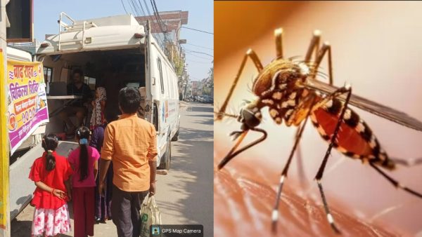 लखनऊ में डेंगू का बढ़ा खतरा: एक दिन में मिले 11 नए मरीज, फैजुल्लागंज में 65 घरों का सर्वे